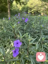 爱情可以是锦上添花，
但不要让它成为你的救命稻草。
