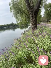 人格的成熟，
就是越来越能接受真实的自己，
也越来越不需要靠别人的认可活着。