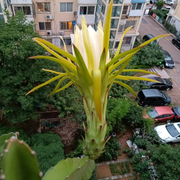 暖心
