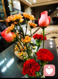 海闊憑魚躍，天高任鳥飛。配圖