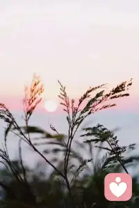 保持好心情
三好:你好、我好、世界好

??能量層級高的人，
呈現(xiàn)出包容、理解、支持、成全。

能量層級中等的人，
呈現(xiàn)出鼓勵(lì)、認(rèn)可、陪伴、珍惜。

能量層級較低的人，
呈現(xiàn)出懷疑、否定、嘲諷、攻擊。配圖