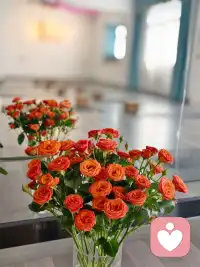 無論你從事什么行業，只要做好兩件事就夠了：一個是你的專業、一個是你的人品。專業決定了你的存在，人品決定了你的人脈；剩下的就是堅持，用善良、專業和真誠贏取更多的信任。不忘初心方得始終！配圖