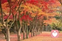 困住自己的，其實不是環境，而是自己的心。配圖