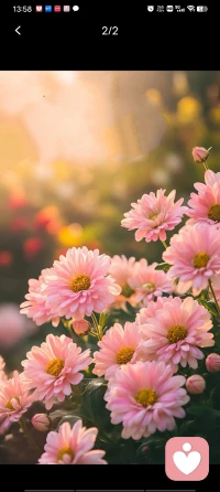 楊絳先生說：

“總有一天你會明白，任何關系到最后只是相識一場，大家也都是階段性的陪伴，那些你放不下的人和事，到最后歲月都會替你去輕描淡寫。”

?配圖