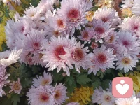 遠離內耗 ，享受當下的美好                                          
                                                                                                   不能控制的事情，就順其自然 。接受那些無法控制的事情，專注于自己能夠改變的事物。

過去的錯誤，我不后悔 。從過去的錯誤中學習，但不要沉湎于后悔，向前看。配圖