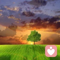 福樓拜說過：生活永遠(yuǎn)不像我們想象的那么好，也不像我們想象的那么糟。

這句話用在愛情上再合適不過。我們要學(xué)會用平和的心態(tài)去對待愛情，既不要期待太多，也不要太過執(zhí)著。

保持適度的期待和投入，才能收獲真正的幸福。當(dāng)我們學(xué)會愛得有度，生活才會變得更加美好。

畢竟，愛情不是人生的全部，它只是生活中美好的點(diǎn)綴。

懂得適可而止，才能讓愛情保持長久的溫度。

就像詩人泰戈?duì)栒f的：愛情是一個奇妙的過程，但不是生命的全部。懂得愛，更要懂得如何好好生活。配圖