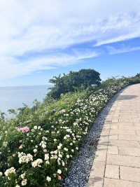 “没有人会因为单身而死，却有人因为选错伴侣，而丢掉生命。找对人，陪着你荡秋千，一生浪漫；找错人，一起华山论剑，决一死战；遇到对的人，你咳嗽一声他都以为你感冒了，遇到错的人，你上吊了他还以为你在荡秋千。

不要把宝贵的时间，浪费在错误的人身上，如果还没找到真爱，那就努力赚钱，提升自己，让自己更优秀，自然会遇到优秀的另一半！”

不要因为害怕孤独，也不要因为被催婚，就随便找个人将就。孤独只是暂时的，而选错伴侣带来的痛苦却是长久的。

选错伴侣，两个人的价值观、生活习惯、人生目标大相径庭，每一次的交流都像是火星撞地球，争吵不断，矛盾重重。

为了一些鸡毛蒜皮的小事，就能吵得面红耳赤，甚至大打出手。

而找对伴侣，他懂你的欲言又止，你知他的言外之意，两个人一个眼神，一个动作，便能心领神会。

在你遇到困难时，他会毫不犹豫地伸出援手；在你开心时，他会陪你一起欢呼雀跃，在你失落时，他会默默地陪伴在你身边，给你安慰和鼓励。

还在爱情中迷茫的人，与其在一段错误的感情中苦苦挣扎，不如静下心来，努力工作，好好地爱自己，提升自己，让自己更优秀。

当你变得足够优秀，你会发现，你吸引到的人同样优秀、同样热爱生活，你们会在不经意间相遇，然后相知、相爱。

所以，不要着急，不要焦虑，在对的人出现之前，好好地经营自己，让自己成为那个值得被爱的人，走得更远、更稳。配图