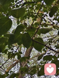 自我失調(diào)，超我已經(jīng)坐著火箭光速離去。配圖