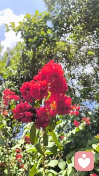 尊重自己內心的想法，美好未來就在前方配圖