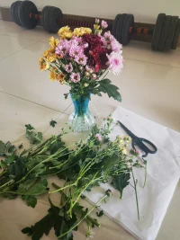 取悅自己的方式有很多種  比如一束花配圖