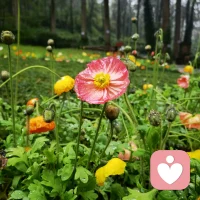 原来一年真的很短
 
只是36个十天而已配图