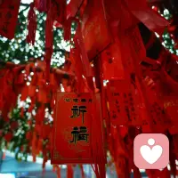 愿我们今年

薪想事成 钱程似锦配图