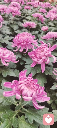 ?2?2?/??.?? ????? ??????????????? ?別趕路，感受路。祝我們存在于每一個當下，沉醉于每一個可觸摸的時刻！努力的人兒????早安??配圖