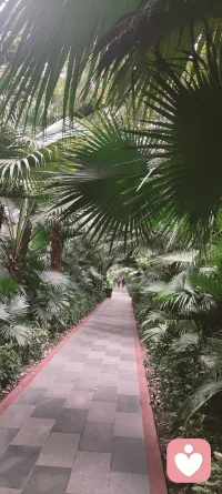 ✨妈妈对孩子的关注就像一个魔镜一样，孩子会因为魔镜的变化而去变换自己的状态，所以如果想让一个孩子心理健康，那么在他小的时候呢，多和他互动，看到他并带着喜悦是至关重要的。配图