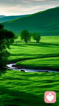 心枯萎的時候看看遠處的生命配圖