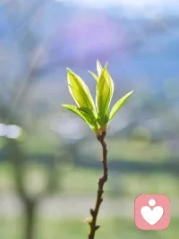 每個(gè)人的心里都有一顆希望的種子配圖