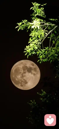 快乐不需要复杂，简单生活，轻松自在，享受生命的美好。配图