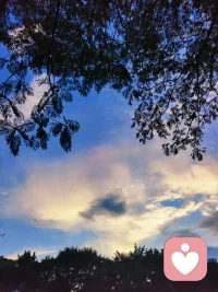 晚风与月亮相遇即是美丽的邂逅配图