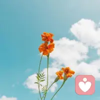 跟雨伞学做人，你不为别人挡风遮雨，谁会把你高高举在头顶配图