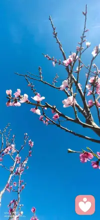 过去都是假的，回忆是一条没有归途的路配图