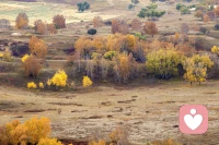 流浪的人，流浪的心，在孤单与寂寞中寻找，流浪的你，流浪的我，在记忆中相忘配图