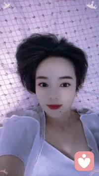 秋日森林配圖