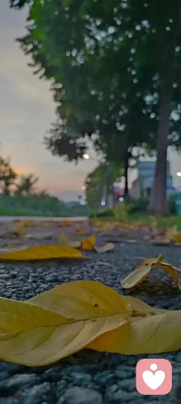不要因为走的太远，而忘记了为什么出发配图