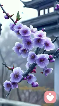 美好的時光，就留在心里吧配圖