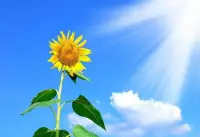 與其枯死在房間里，不如去感受外面的風(fēng)吹雨打，才有機(jī)會(huì)過成自己喜歡的樣子，才能體驗(yàn)生命真正的意義。配圖