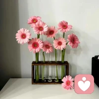 乖乖女非常容易吸引一種病人就是：
“卡薩諾瓦綜合征”
我們在咨詢案例中發現了一個可怕現象，給這樣的女性提個醒：就是，如果你是一位家教良好的乖乖女，你可能會非常容易吸引那些“多偶”的渣男，這種男人就是傳說中的“卡薩諾瓦綜合征”也叫“花花公子綜合征”。這種男人喜歡不停地追求新鮮感，喜歡在不同的女人之間穿梭，他們永遠不想安定下來，他們只有掛在墻上時才會安定下來。
?他們結婚后也會持續不斷的出軌、PC，會讓他的妻子苦不堪言。
?但是這種男人又很有欺騙性，很有吸引力，那這就危險了，尤其是對于乖乖女來說。
?為什么乖乖女容易被這種男人吸引？這背后有個挺有意思的心理學概念，叫做“陰影原則”。說的是我們每個人都有顯性和隱性兩種不同的人格。比如，一個看起來很文靜的女孩，她內心可能住著一個叛逆的小女孩，只是這個叛逆的一面不常表現出來，被她藏在了心底，這就是她的影子人格。
?當有一個人跟她的影子人格特別像時，她內心那個叛逆的小女孩就被喚醒了。她會覺得，跟這個男人在一起，對方可以幫她實現她實現不了的夢，跟對方在一起，自己可以嘗試一些自己以前從沒做過的事，能體驗一種完全不同的生活。而這一切又不是她自己主動在做，她只是被對方帶著走。這種感覺對乖乖女來說，就像是找到了解鎖自己影子人格的鑰匙，讓她覺得既興奮又害怕。
?另一方面，乖乖女又在這種男人身上找到了“我很重要”的認可感。
?卡薩諾瓦雖然看起來不靠譜，但他們很會甜言蜜語，他們總能給乖乖女很多的關注和贊美，這讓乖乖女覺得自己很特別，很重要。這種感覺，可能是她在日常生活中很少得到的。
?所以，乖乖女們在這些甜蜜的毒藥中，錯付真心，換來一生的痛。如果你就是這樣的乖乖女，或者如果你的女兒就是這種乖乖女，那要記住啦，你要有意識地去認識和接納自己的影子人格，而不是完全依賴別人來填補內心的空缺。這樣，我們才能真正的保護好自己，建立起健康的親密關系。配圖