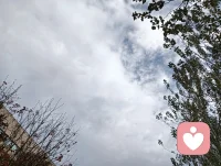 一花一樹一世界，每個人都是獨立的個體，都應該被尊重，孤獨是每個人一生常見的話題，不被理解，不被重視等各種問題，都可以在這個平臺宣泄，愿你下雨有傘，夜里有燈，光明照亮你的一生！配圖