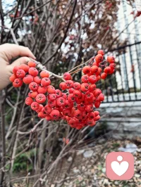 一花一樹一世界，每個人都是獨立的個體，都應該被尊重，孤獨是每個人一生常見的話題，不被理解，不被重視等各種問題，都可以在這個平臺宣泄，愿你下雨有傘，夜里有燈，光明照亮你的一生！配圖