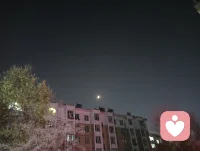 萬家燈火，照亮了塵世的熱鬧與孤單。人就像倦鳥，總得有個棲息處。那是溫暖的港灣，是結束奔波后安心躺下的小窩，是藏著愛與夢的地方，在這紛繁世間，有處棲息，靈魂便有了歸宿，心便有了安放之所。配圖