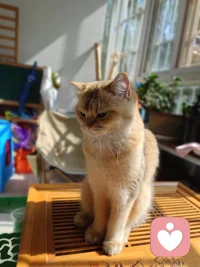 長期的焦慮抑郁會對人體造成傷害嗎？

人長于天地之間，上承天道之氣，下秉坤德之韻，天道無形，地道有質，人體也是遵循這這個規(guī)則形成的，人體分為兩部分，一半是無形無質的精神，一半是有形有質的肉體。

精神依附于肉體，通過肉體實現意志自由，肉體承載著精神，借由精神完成物質的新陳代謝。兩者相輔相成，相互成就。

長期的焦慮抑郁，一定會對人體產生負面影響。當一個人長期處于不良情緒壓制之下的時候，首先出現問題就是腸胃消化不良，憂思傷脾這是中醫(yī)的理論，情志不舒，必定會導致肝郁，肝在五行上屬木，木是克土的，脾胃屬土。下來就會出現睡眠質量低下，久而久之，精力記憶力都會出現下降的狀態(tài)。

如果這樣的狀態(tài)維持久了，達到了量變到質變的條件，你的五臟六腑中最薄弱的那個一定會出問題。會打破原有的那個平衡，平衡一旦打破，系統(tǒng)必定紊亂，接踵而至的就是身體跟精神的不協調，這時候你去西醫(yī)查指標，基本上不是超標就是不達標。

所以我們一定要意識到不良情緒對身體的不利影響，當發(fā)現自己長時間處于不良情緒的時候，想辦法，找渠道去宣泄釋放出來，把壓抑的情緒釋放出來，讓身心通暢，就不會生病。

如果你沒有能力處理自己的情緒，那就找能量高的人多交流，借助他人的能量走出來。希望大家每天都能開心淡然的面對生活中的一切，除了生死，其他都是小事。配圖