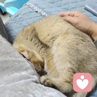 《寒窯賦》無處不在告訴你，時也運也命也，曾經我也不行，自從八字開竅以后，看了無數八字后，我對此深信不疑。大家可以讀一下
天有不測風云，
人有旦夕禍福。
蜈蚣百足，
行不及蛇;
雄雞兩翼，
飛不過鴉。
馬有千里之程,
無騎不能自往;
人有沖天之志，
非運不能自通。
蓋聞:
人生在世，
富貴不能淫，
貧賤不能移。
文章蓋世，
孔子厄于陳邦;
武略超群,
太公釣于渭水。
顏淵命短，
殊非兇惡之徒;
盜跖年長，
豈是善良之輩。
堯帝明圣，
卻生不肖之兒;
瞽叟愚頑，
反生大孝之子。
張良原是布衣，
蕭何稱謂縣吏。
晏子身無五尺，
封作齊國宰相;
孔明臥居草廬，
能作蜀漢軍師。
楚霸雖雄，
敗于烏江自刎;
漢王雖弱，
竟有萬里江山。
李廣有射虎之威，
到老無封;
馮唐有乘龍之才，
一生不遇。
韓信未遇之時，
無一日三餐，
及至遇行，
腰懸三尺玉印，
一旦時衰，
死于陰人之手。
有先貧而后富，
有老壯而少衰。
滿腹文章，
白發竟然不中;
才疏學淺，
少年及第登科。
深院宮娥，
運退反為妓妾，
風流妓女，
時來配作夫人。
青春美女，
卻招愚蠢之夫;
俊秀郎君，
反配粗丑之婦。
蛟龍未遇，
潛水于魚鱉之間;
君子失時，
拱手于小人之下。
衣服雖破，
常存儀禮之容;
面帶憂愁，
每抱懷安之量。
時遭不遇，
只宜安貧守份;
心若不欺，
必然揚眉吐氣。
初貧君子，
天然骨骼生成;
乍富小人，
不脫貧寒肌體。
天不得時，
日月無光;
地不得時，
草木不生;
水不得時，
風浪不平;
人不得時，
利運不通。
注福注祿，
命里已安排定，
富貴誰不欲?
人若不依根基八字，
豈能為卿為相?
吾昔寓居洛陽，
朝求僧餐，
暮宿破窖，
思衣不可遮其體，
思食不可濟其饑，
上人憎，
下人厭，
人道我賤，
非我不棄也。
今居朝堂，
官至極品，
位置三公，
身雖鞠躬于一人之下，
而列職于千萬人之上，
有撻百僚之杖，
有斬鄙吝之劍，
思衣而有羅錦千箱，
思食而有珍饈百味，
出則壯士執鞭，
入則佳人捧觴，
上人寵，
下人擁。
人道我貴，
非我之能也，
此乃時也、運也、命也。
嗟呼!
人生在世，
富貴不可盡用，
貧賤不可自欺，
聽由天地循環，
周而復始焉。配圖