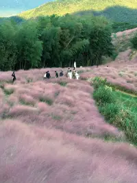 得不到的永远在骚动
念念不忘的总有余响

半吊子的工程
未完成的事件
未被满足的欲望
想做却没在第一时间去做的遗憾
都会在内心深处
时不时被外在发生
点燃激荡