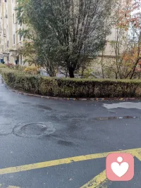 昨晚下雨了，雨停了地上濕漉漉的，溫度有些低。配圖