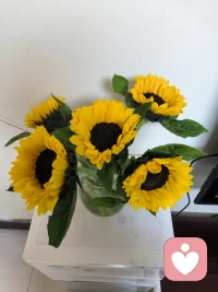 邊界——我們的邊界不斷被突破的時候，我們就把自己的一部分功能給了別人。配圖