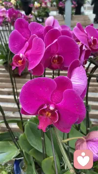 那么梦到底是啥玩意呢？
那些好奇的人也瞎琢磨出不少嗑儿，今儿个咱开始就扒一扒。不过话说回来，这梦也邪乎。

唠唠梦里头真真葬着藏着，没露过面的那个“另一面”的自己个，说不定跟平时差老多了”，也不是啥玄乎玩意儿，就是平时没处露的那些小心思、小性子，全搁梦里头冒出来了—像你平时老让着人，梦里头那“自己”说不定就敢跟人呛两句，这都是心里头没说透的劲儿！

咱得说句实在的，每个人梦里头都藏着个没咋露过面的自己！你可别不信，就拿咱平时说的“好人”“坏人”来讲——要是你平时老端着架子，干啥都想着“我得做好人，得顾全大局”，那你梦里指定能冒出个“混不吝”的坏小孩！这小孩可能干出你平时想都不敢想的事儿，比如跟人拌嘴不饶人，或是偷偷摸个小零食啥的，其实这就是你心里头那点没处撒的“小任性”，全搁梦里头冒出来了。
反过来讲，要是有人平时看着挺“横”，说话办事不咋顾别人感受，瞅着像个“坏人”，那他梦里头指定藏着个软乎乎的好小孩！可能梦里头帮老太太过马路，或是给流浪猫喂吃的，这些事儿他现实里指定不好意思干，怕别人说他“装”，可心里头那点善良劲儿没处搁，就只能在梦里头透透气。