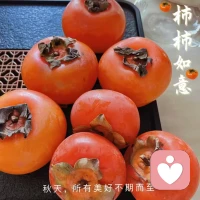 必須接受失望，因為失望是有限的。
必須懷抱希望，因為希望是無窮的。配圖