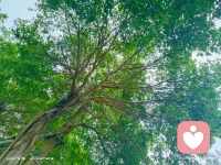 生活雖然一地雞毛，但仍要歡歌高進。成長之路雖有玫瑰有荊棘，但什么都不能阻擋堅強的心。配圖