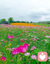 別怕，黑暗盡頭終有光，風(fēng)雨過(guò)后總會(huì)晴。此刻的艱難只是暫時(shí)的，美好的未來(lái)在等你呢。配圖