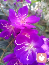 把煩惱都丟開(kāi)，要相信所有的不如意都是在為美好的事情騰地方，好運(yùn)就在下一個(gè)轉(zhuǎn)角哦。配圖