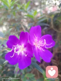 婚姻的真相：無論和誰過，其實(shí)都是和自己過。配圖