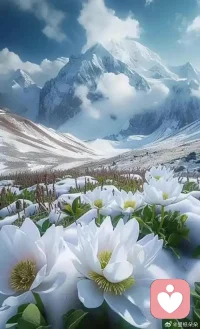 當(dāng)你無(wú)數(shù)次在腦海里焦慮自責(zé)當(dāng)你一次又一次傷害自己，又或當(dāng)你忍不住拿自己和別人做比較時(shí)，都是在幫著外人一起殘忍的欺負(fù)霸凌你自己。希望你要記住，你永遠(yuǎn)是你自己最忠誠(chéng)，最堅(jiān)定的戰(zhàn)友，而不是任何人的傀儡。配圖