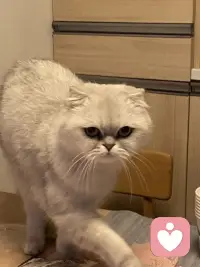 一個人一生至少需要5000次鼓勵
1.0-3歲，父母只需要做出10%的努力，孩子可以取得100%的成果！
2.3-6歲，父母只需要做出50%的努力，孩子可以取得100%的成果！
3. 7-12歲，父母只需要做出100%的努力，孩子可以取得100%的成果！
4. 12-16歲，父母只需要做出150%-300%的努力，孩子可以取得100%的成果！
5. 16歲+，父母脫胎換骨的改變，孩子可以取得100%的成果！配圖