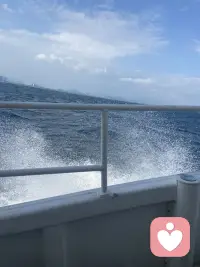 如何看待你和偶像的关系：

1. 正确认识自己和偶像的关系：
追星可以带来快乐、激励和陪伴，但不应将偶像视为生活的全部。偶像和我们是两个独立的个体，他们有他们的生活和工作，我们有我们的学习和成长。
尊重偶像的职业和个人空间，不要过度干涉或追求他们的私人生活。作为粉丝，最好的方式是支持他们的事业，通过正面的鼓励来表达喜爱，而不是试图占有或控制他们。
2. 保持理性和尊重：
追星需要合理安排时间和金钱，不能因为追星而忽视学习和工作，也不能超出自己的经济能力。
尊重偶像的本质和局限，他们也是普通人，有优点和缺点，也会犯错和失败。客观看待他们的优劣和变化，不要盲目赞美或批评。
3. 理解界限和现实中的连接：
与偶像建立恋爱关系的可能性极低，因为他们的工作环境和个人生活受到严格管理。在现实生活中寻找与你兴趣相投、性格相合的人，更容易建立真实、稳定的恋爱关系。
关注心理健康，如果发现对偶像的关注影响了日常生活和心理健康，建议及时寻求专业的心理咨询帮助。
4. 自我成长和平衡：
追星也是一个自我成长的过程，可以从偶像身上学习到很多知识和技能。但也要保持自我成长，不要因为追星而放弃自己的目标和追求。
建立丰富的个人生活，发展自己的兴趣爱好，保持生活的平衡和多样性。
GAT到上面几点，可以更好地看待自己与偶像的关系，保持理性和尊重，同时促进自我成长和心理健康。配图