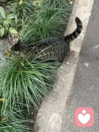 看似不起波澜的日复一日，会突然在某一天让你看到坚持的意义。配图