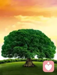 總擔心他人行為給自己帶來困擾可能源于多種心理和社會因素。以下是一些可能的原因和應對建議：

原因：
自我認知和自信心不足：這類人往往認為自己的能力不足，無法勝任某些任務，因此擔心自己的行為會讓別人失望。
家庭教育：在成長過程中，如果一個人經常被告知要為別人著想，不要給別人添麻煩，那么他長大后就可能形成這種習慣。
社會環境：在一個強調集體主義、重視和諧的社會環境中，人們更容易產生怕給別人添麻煩的心理。
偏執和焦慮：有些人可能天生就比較偏執和焦慮，對周圍的人和環境持有過度的警覺和懷疑。這種偏執和焦慮可能會導致個體持續擔心他人會對自己造成傷害，即使沒有任何證據或理由。
過去的創傷經歷：個體曾經遭受過身體上或心理上的創傷，如暴力、虐待、欺凌等，這些經歷可能會導致個體對他人的信任度降低，對他人的意圖和行為持有懷疑和擔憂，從而導致持續擔心他人會對自己造成傷害。
社交焦慮：有些人可能患有社交焦慮癥，這是一種對社交場合的過度害怕和焦慮。社交焦慮癥患者可能會擔心他人對自己的評價，或者擔心自己在社交場合中表現不佳，從而導致持續擔心他人會對自己造成傷害。
精神障礙：某些精神障礙，如精神分裂癥、妄想癥等，可能會導致個體產生被害妄想或被監視妄想等癥狀，這些癥狀會讓個體持續擔心他人會對自己造成傷害。
應對建議：
增強自信心：相信自己有能力解決，不必過分擔憂給別人帶來的困擾。
改變思維方式：學會換位思考，理解別人的需要和期望，從而更好地平衡自己和他人的利益。
尋求支持：與親朋好友分享自己的擔憂和困惑，聽取他們的意見和建議，有助于緩解心理壓力。
參與社交活動：加強交流，增強信任感，從而提高彼此的信任度。