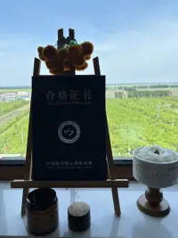 我有一种情绪，萦绕在心间。你看到了它，理解了它，我们之间就产生了连接。如果你能替我表达了出来，我们之间就产生了亲密。

这就是共情——世间最好的心理治疗处方！